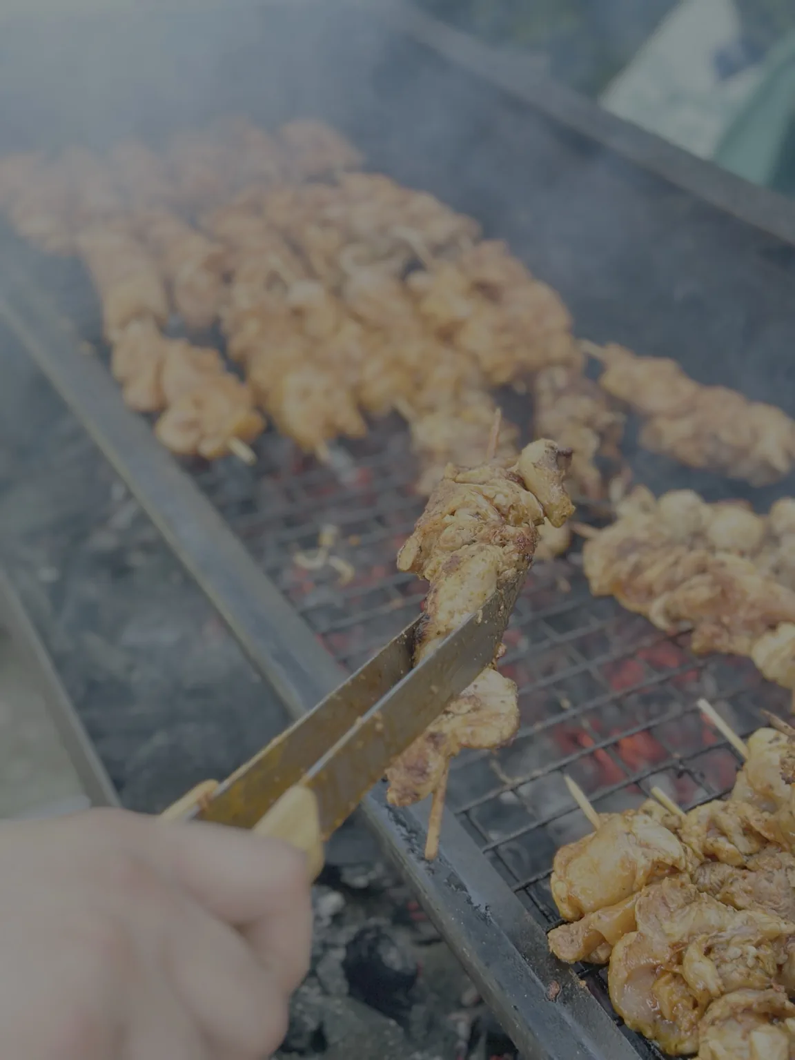 Brochettes sur braise